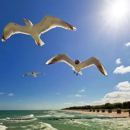 Pier 605 - 4 Sterne - 300m Zentrum - Power Wlan - 2 Parkplaetze - Early Checkin - #bestpreisgarantie# *