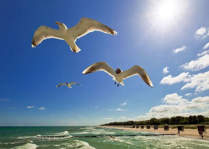 Pier 605 - 4 Sterne - 300m Zentrum - Power Wlan - 2 Parkplaetze - Early Checkin - #bestpreisgarantie# *